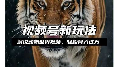 利用动物世界解说视频，赚分成计划收益，轻松月入过W，操作简单【揭秘】-佳佳云创网