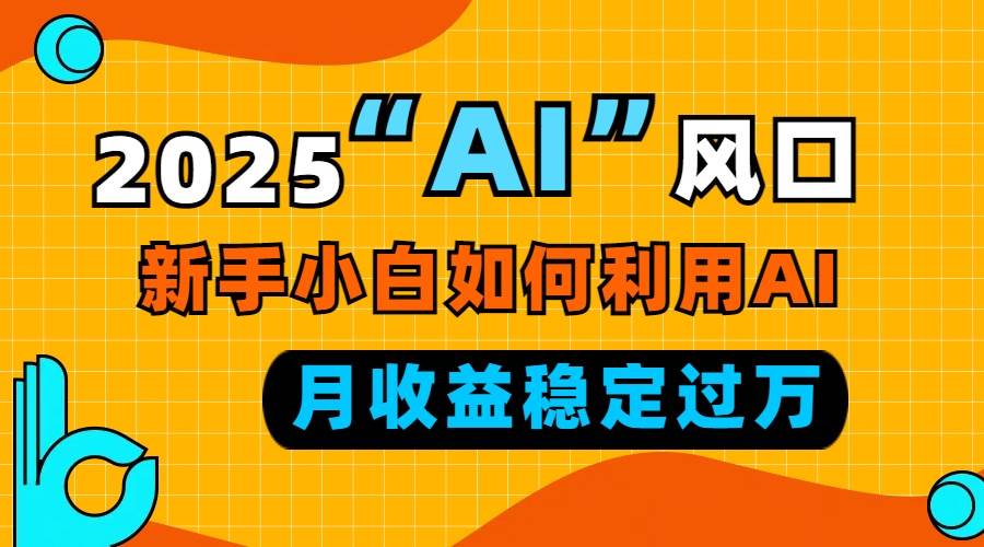 （13821期）2025“ AI ”风口，新手小白如何利用ai，每月收益稳定过万-佳佳云创网