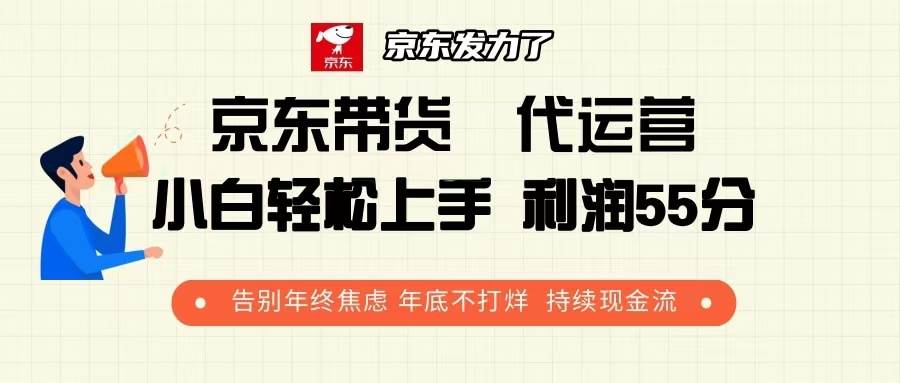 （13833期）京东带货 代运营 利润55分 告别年终焦虑 年底不打烊 持续现金流-佳佳云创网