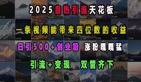 2025自热引流天花板，一条视频能带来四位数的收益，引流+变现双管齐下，日引500+创业粉，涨粉嘎嘎猛-佳佳云创网