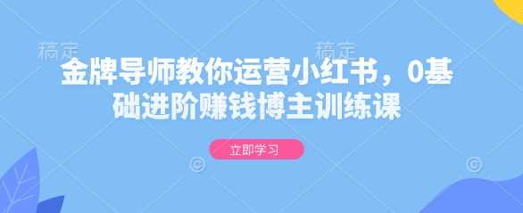 金牌导师教你运营小红书，0基础进阶赚钱博主训练课-佳佳云创网
