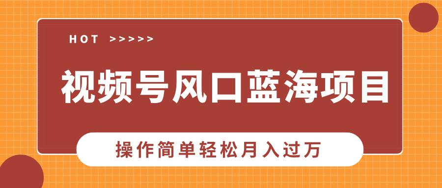 （13945期）视频号风口蓝海项目，中老年人的流量密码，操作简单轻松月入过万-佳佳云创网
