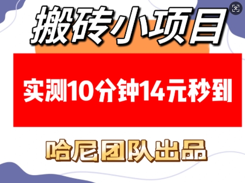 搬砖小项目，实测10分钟14元秒到，每天稳定几张(赠送必看稳定)-佳佳云创网