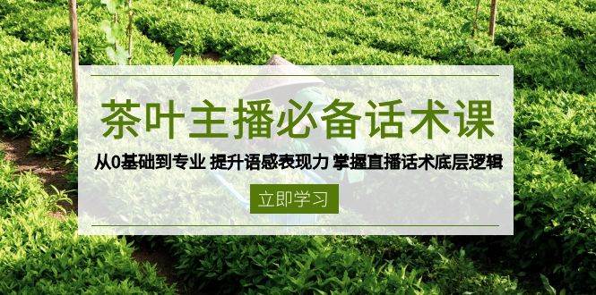 （13961期）茶叶 主播必备话术课 从0基础到专业 提升语感表现力 掌握直播话术底层逻辑-佳佳云创网