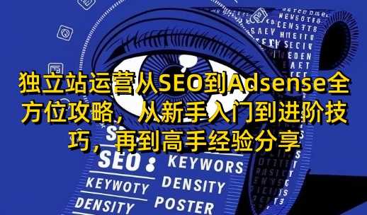 独立站运营从SEO到Adsense全方位攻略，从新手入门到进阶技巧，再到高手经验分享-佳佳云创网