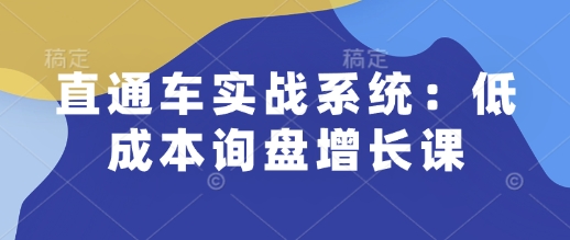 直通车实战系统：低成本询盘增长课，让个人通过技能实现升职加薪，让企业低成本获客，订单源源不断-佳佳云创网