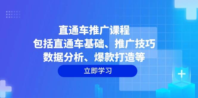 （14001期）直通车推广课程：包括直通车基础、推广技巧、数据分析、爆款打造等-佳佳云创网