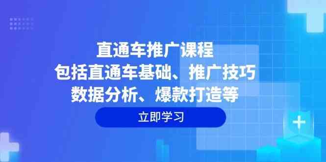 直通车推广课程：包括直通车基础、推广技巧、数据分析、爆款打造等-佳佳云创网