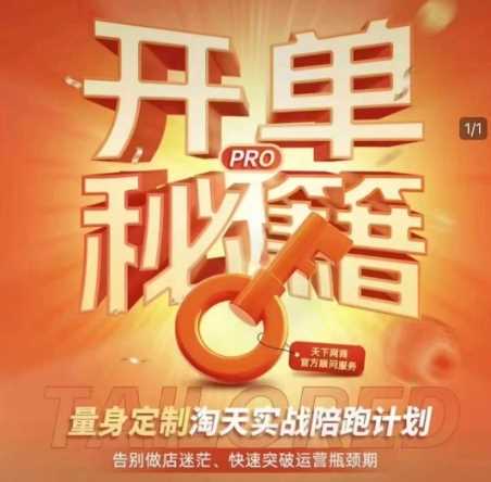 淘宝开单秘籍PRO，量身定制淘天实战陪跑计划，告别做店迷茫、快速突破运营瓶颈期-佳佳云创网