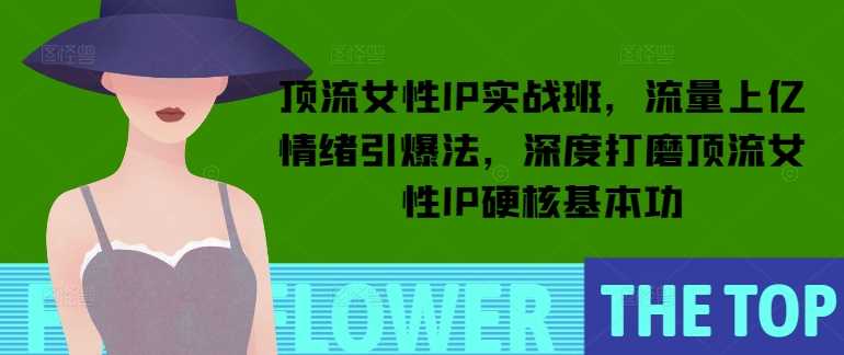 顶流女性IP实战班，流量上亿情绪引爆法，深度打磨顶流女性IP硬核基本功-佳佳云创网