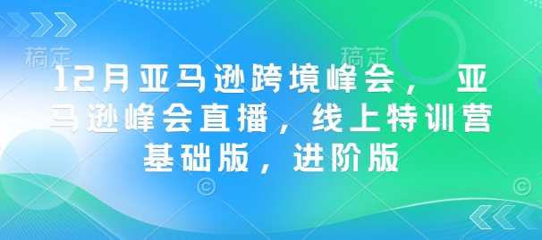 12月亚马逊跨境峰会， 亚马逊峰会直播，线上特训营基础版，进阶版-佳佳云创网