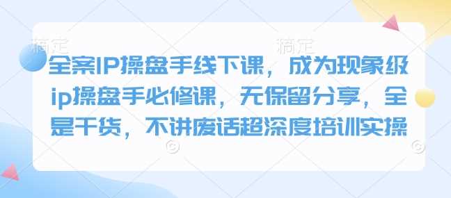 全案IP操盘手线下课，成为现象级ip操盘手必修课，无保留分享，全是干货，不讲废话超深度培训实操-佳佳云创网