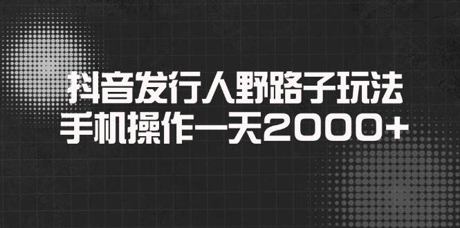 （14068期）抖音发行人野路子玩法，手机操作一天2000+-佳佳云创网