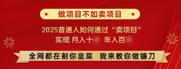 必看，做项目不如卖项目，2025普通人如何通过“卖项目”实现月入十个，年入百个-佳佳云创网