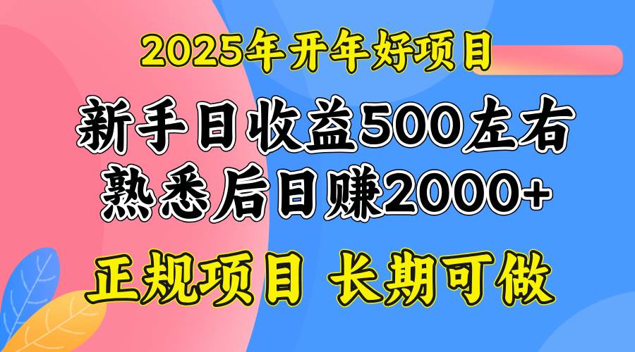 （14076期）2025开年好项目，单号日收益2000左右-佳佳云创网