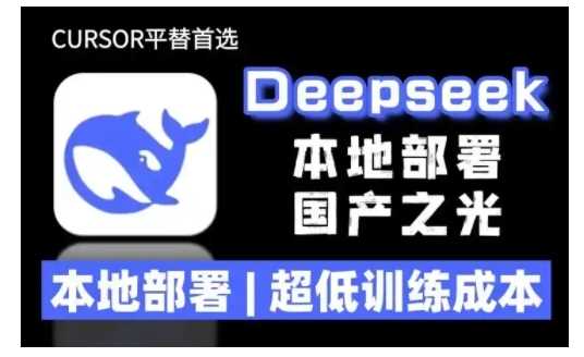 2025年deepseek R1 大型模型本地安装部署(文件+教程)本地部署，超低训练成本-佳佳云创网