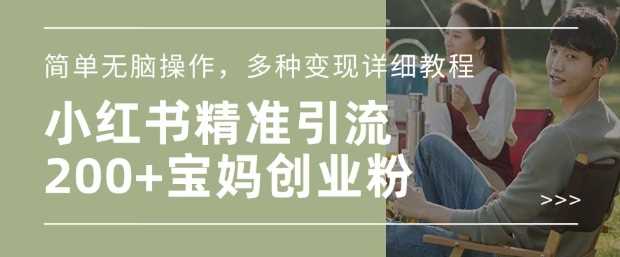 小红书混剪日引200+宝妈创业粉，简单无脑操作，多种变现详细教程-佳佳云创网