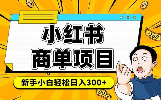小红书千粉商单，稳定快速变现项目，实现月入6-8k并不是很难-佳佳云创网
