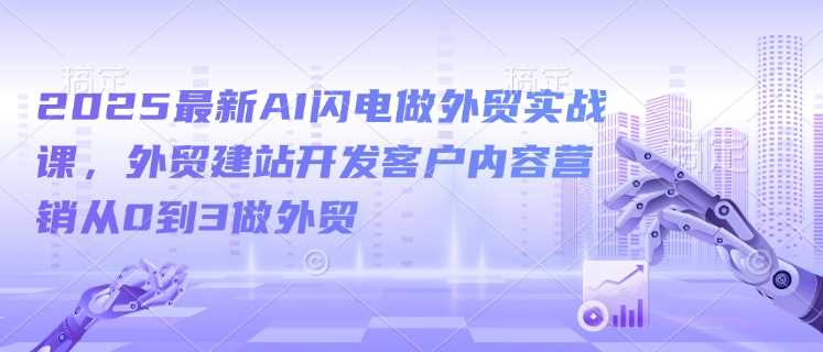 2025最新AI闪电做外贸实战课，外贸建站开发客户内容营销从0到3做外贸-佳佳云创网