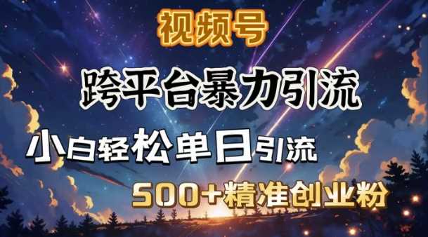 跨平台暴力引流，私域完美闭环，日引500+精准创业粉-佳佳云创网