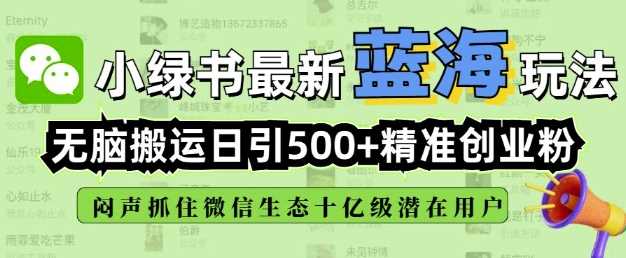 小绿书无脑搬运引流，全自动日引500精准创业粉，微信生态内又一个闷声发财的机会-佳佳云创网