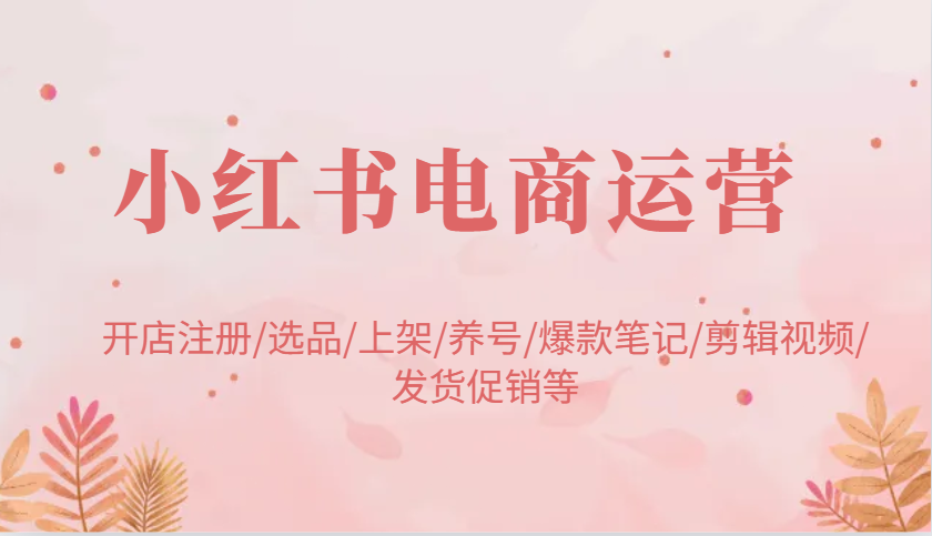 小红书电商运营：开店注册/选品/上架/养号/爆款笔记/剪辑视频/发货促销等-佳佳云创网