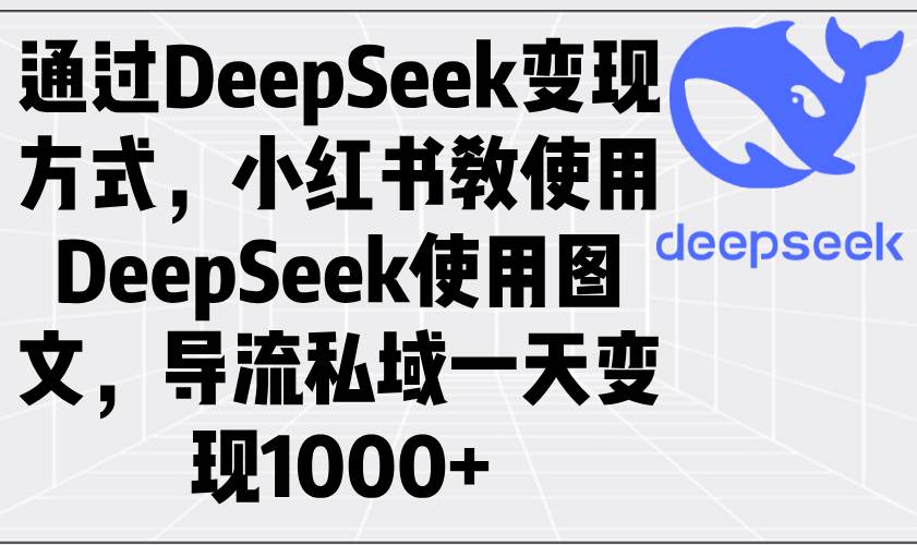 （14179期）通过DeepSeek变现方式，小红书教使用DeepSeek图文，导流私域一天变现1000+-佳佳云创网
