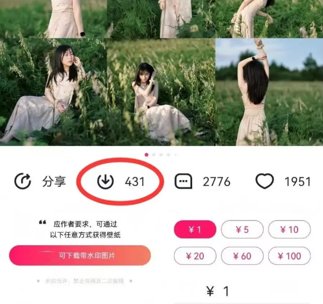 图片[2]-最新图虫搬运项目，收益无上限，利用AI小白也可日赚500+-佳佳云创网