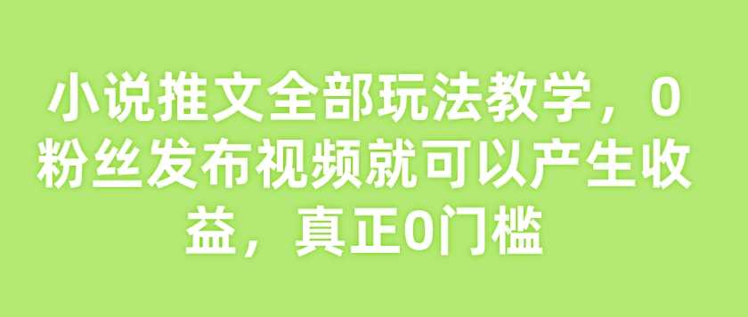 小说推文全部玩法教学，0粉丝发布视频就可以产生收益，真正0门槛-佳佳云创网