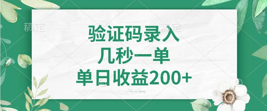 （14221期）验证码录入，几秒一单，单日收益200+-佳佳云创网