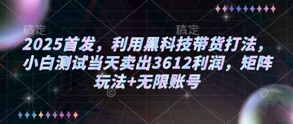 2025首发，利用黑科技带货打法，小白测试当天卖出3612利润，矩阵玩法+无限账号【揭秘】-佳佳云创网