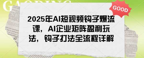 2025年AI短视频钩子爆流课，AI企业矩阵盈利玩法，钩子打法全流程详解-佳佳云创网