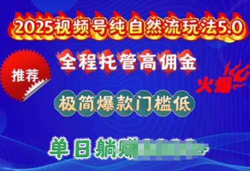 2025视频号纯自然流玩法5.0，全程托管高佣金，极简爆款门槛低，单日收益多张【揭秘】-佳佳云创网