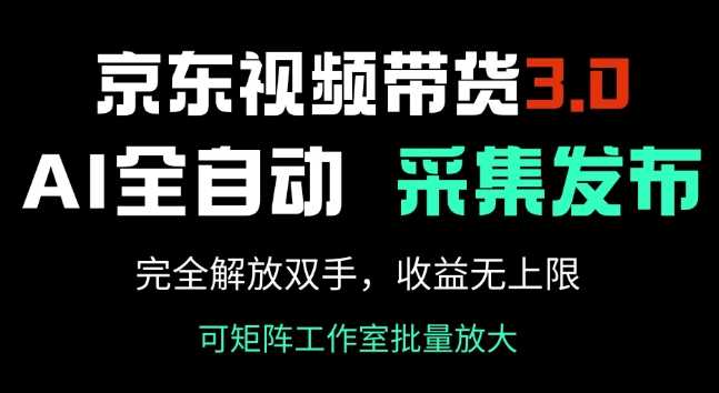 京东视频带货3.0，Ai全自动采集+自动发布，完全解放双手，收入无上限-佳佳云创网