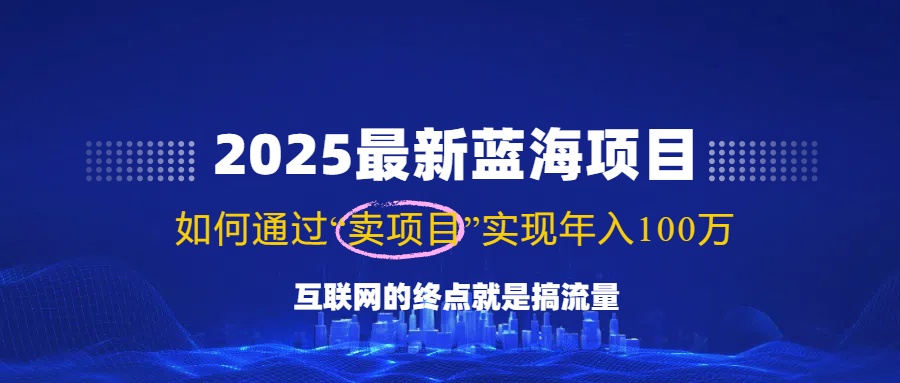 （14305期）2025最新蓝海项目，零门槛轻松复制，月入10万+，新手也能操作！-佳佳云创网