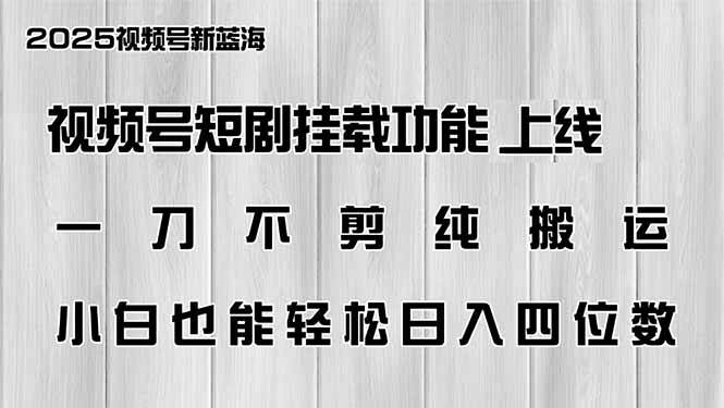 （14310期）视频号短剧挂载功能上线，一刀不剪纯搬运，小白也能轻松日入四位数-佳佳云创网
