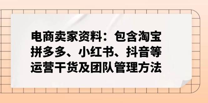（14354期）电商卖家资料：包含淘宝、拼多多、小红书、抖音等运营干货及团队管理方法-佳佳云创网