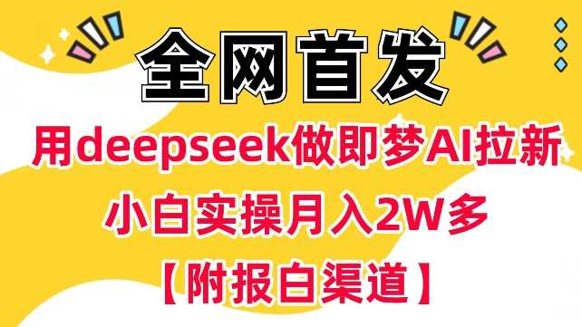 用deepseek做即梦Ai拉新 小白实操月入过W+【附报白渠道】-佳佳云创网