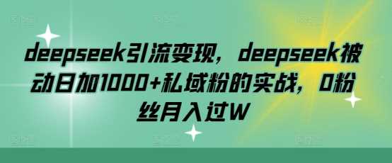 deepseek引流变现，deepseek被动日加1000+私域粉的实战，0粉丝月入过W-佳佳云创网