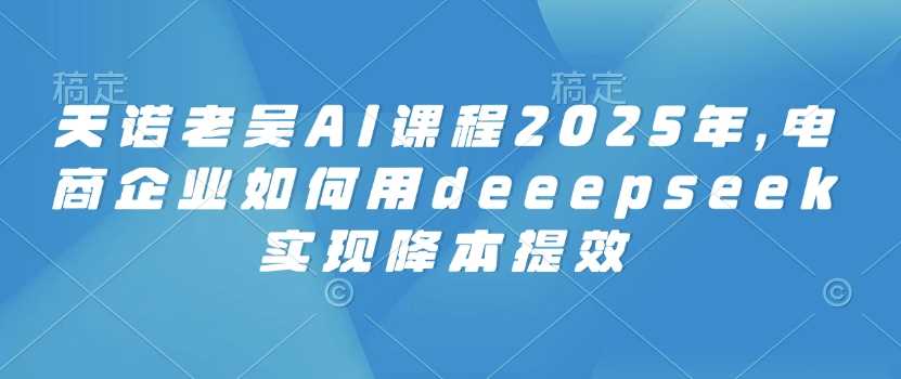 天诺老吴AI课程2025年，电商企业如何用deeepseek实现降本提效-佳佳云创网