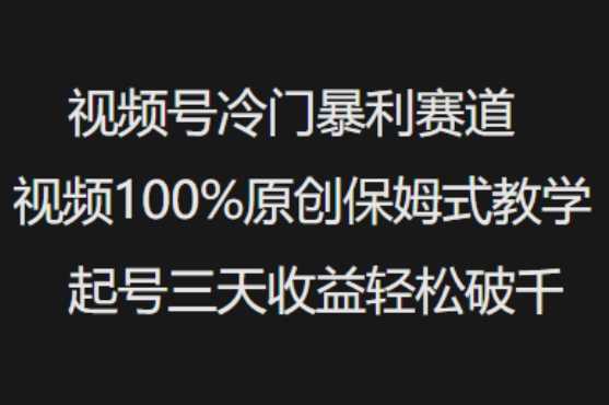 视频号冷门暴利赛道视频100%原创保姆式教学起号三天收益轻松破千-佳佳云创网