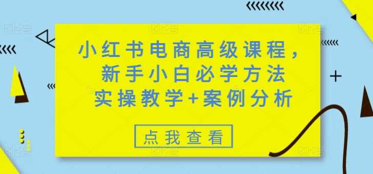 小红书电商高级课程，新手小白必学方法，实操教学+案例分析-佳佳云创网