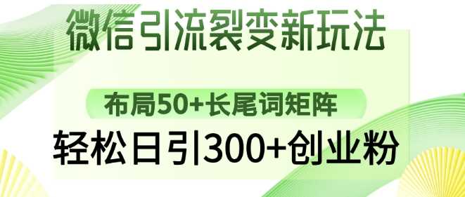 微信引流裂变新玩法：布局50+长尾词矩阵，轻松日引300+创业粉-佳佳云创网