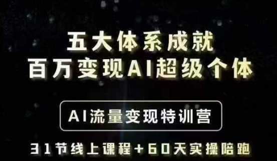 五大体系成就百万变现AI超级个体- AI流量变现特训营，一步一步教你一个人怎么年入百W-佳佳云创网