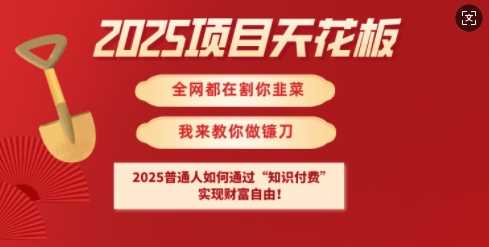 2025项目天花板普通人如何通过知识付费，实现财F自由【揭秘】-佳佳云创网