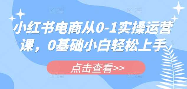 小红书电商从0-1实操运营课，0基础小白轻松上手-佳佳云创网