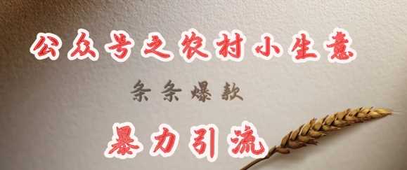 deepseek写农村小项目，条条爆款，暴力引流-佳佳云创网