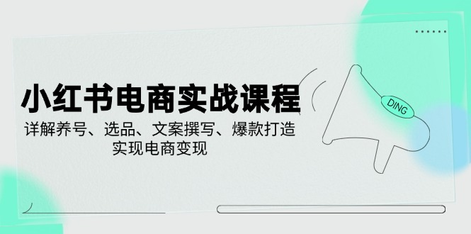 （14549期）小红书电商实战课程，详解养号、选品、文案撰写、爆款打造，实现电商变现-佳佳云创网