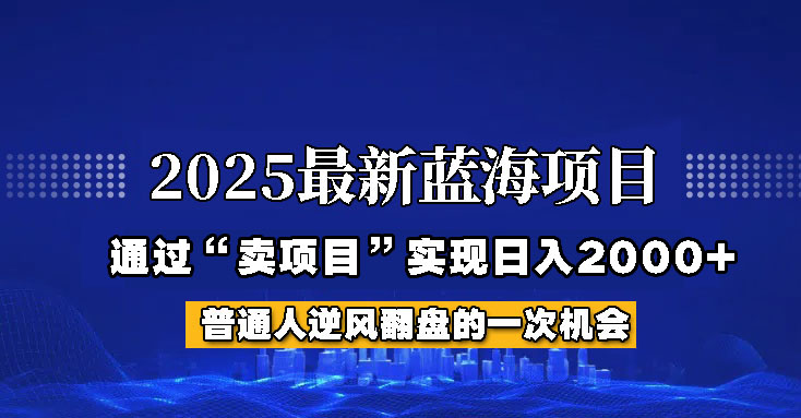 2025年蓝海项目，如何通过“网创项目”日入2000+-佳佳云创网