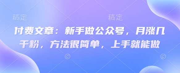 付费文章：新手做公众号，月涨几干粉，方法很简单，上手就能做-佳佳云创网